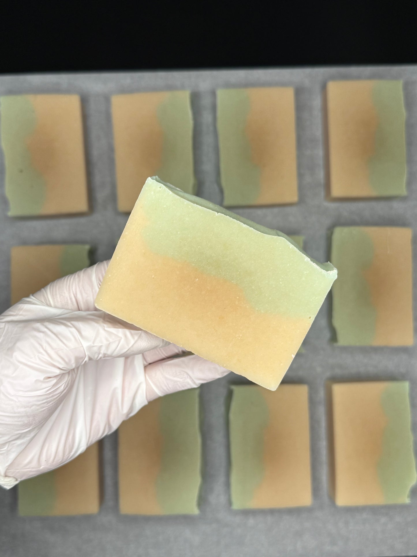Coconut Milk & Aloe Soap Bar