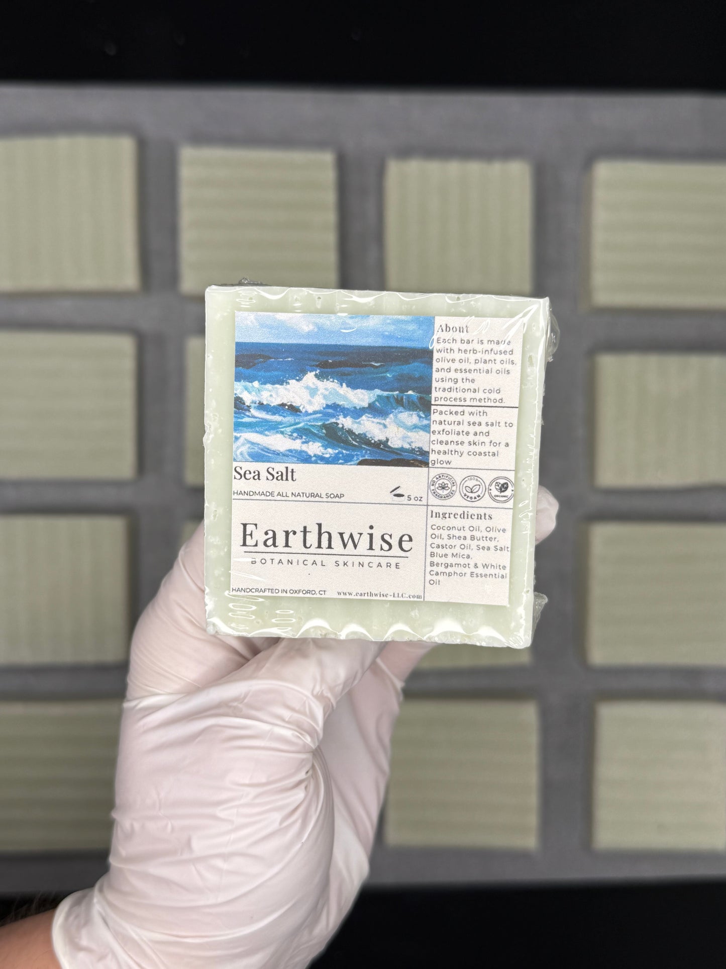 Hand holding a block of Earthwise sea salt with a label showing ocean imagery.