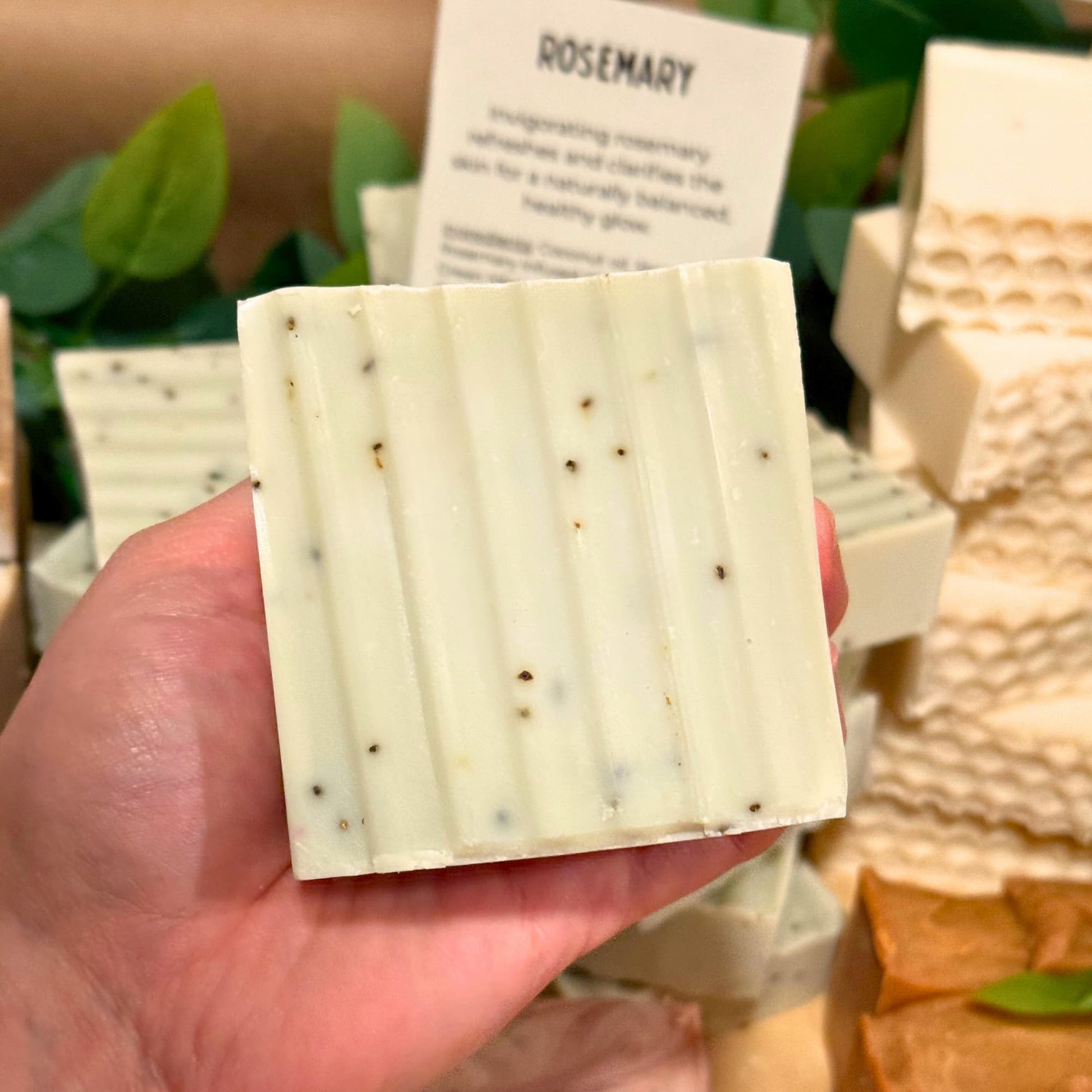 Hand holding a bar of soap with a visible brand label against a natural background