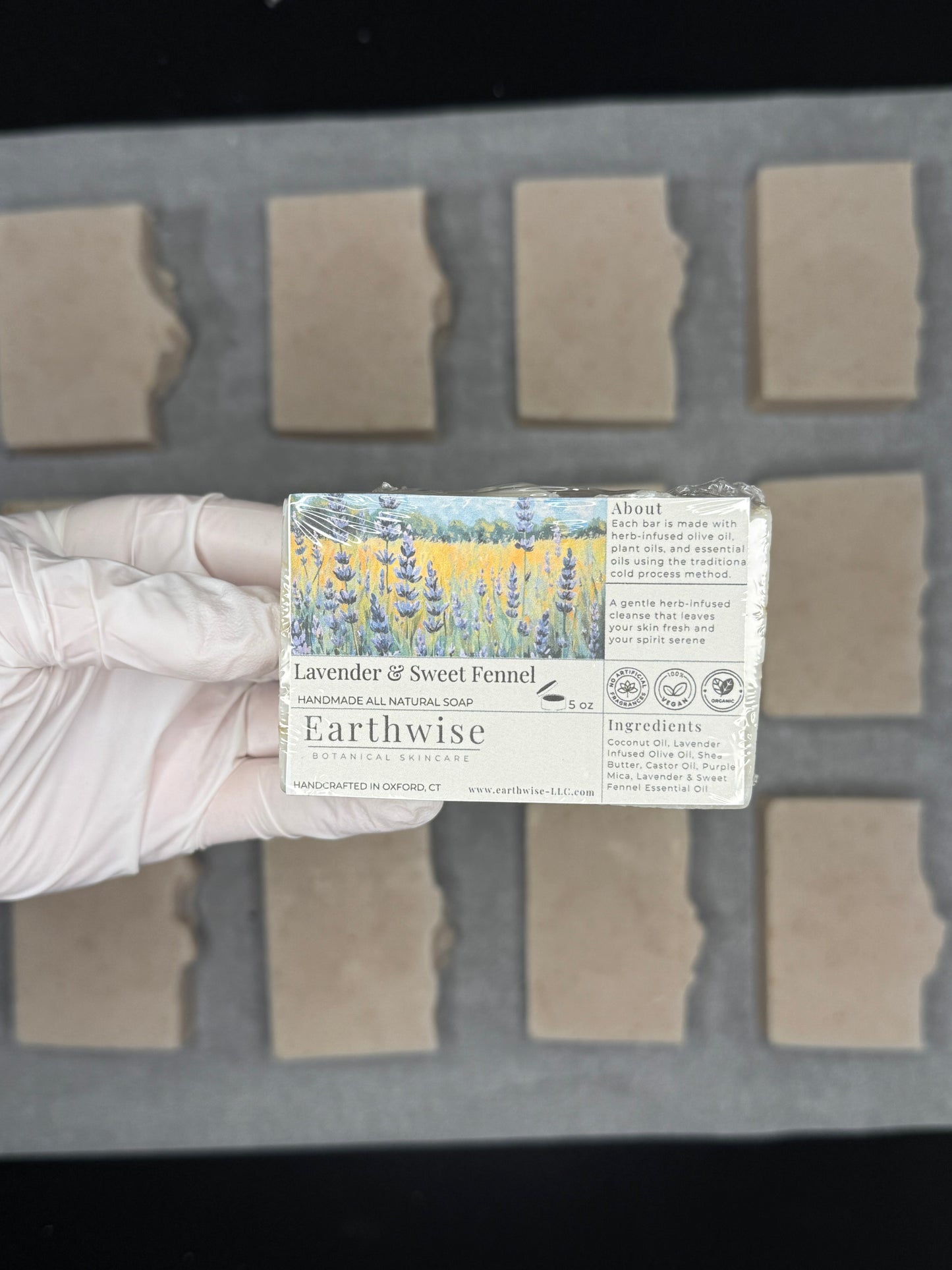 Hand holding a bar of soap with 'Earthwise' packaging against a grid background