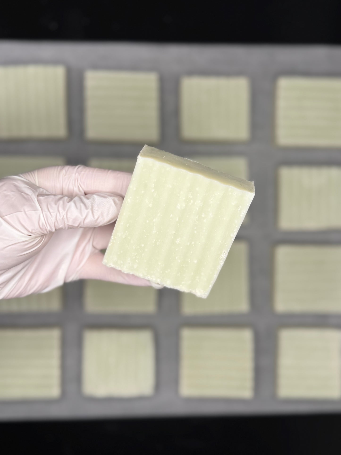 Hand wearing a glove holding a square of soap in front of a grid background