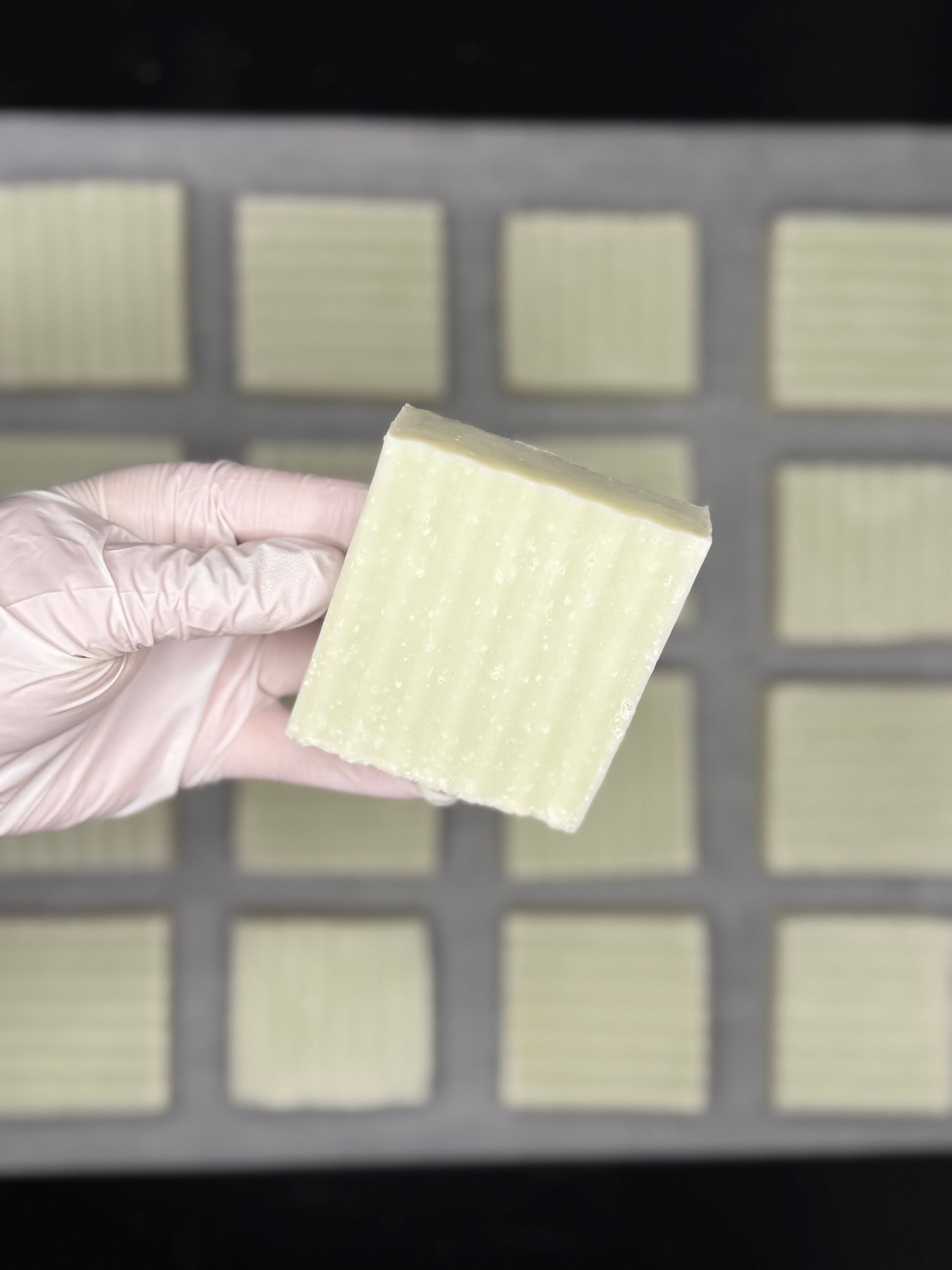 Hand wearing a glove holding a square of soap in front of a grid background